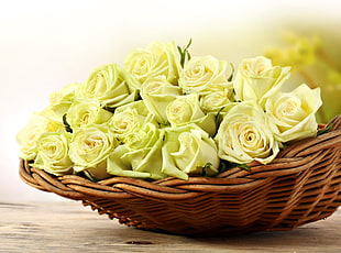 Roses,  Bouquet,  Buds,  Basket HD wallpaper
