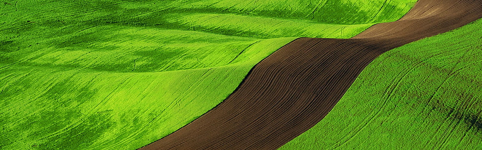 green grass field, multiple display, nature, field, landscape HD wallpaper