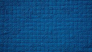 blue and white area rug