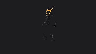Ghost Rider poster, Ghost Rider, minimalism, fire, skull HD wallpaper