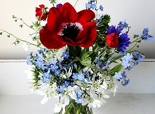 red Poppies with blue Cornflower and blue Forget Me Not flowers bouquet centerpiece HD wallpaper