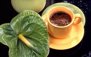 white ceramic mug with coffee on saucer beside green plant