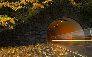 gray concrete tunnel, landscape, tunnel, End of Tunnel, pagemaster