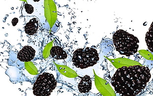 black mulberry, leaves, and water digital wallpaper