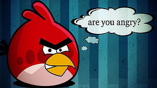 red Angry Bird artwork HD wallpaper