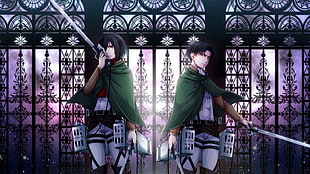Mikasa and Levi from Attack on Titans, anime, Shingeki no Kyojin, Mikasa Ackerman, Levi Ackerman HD wallpaper