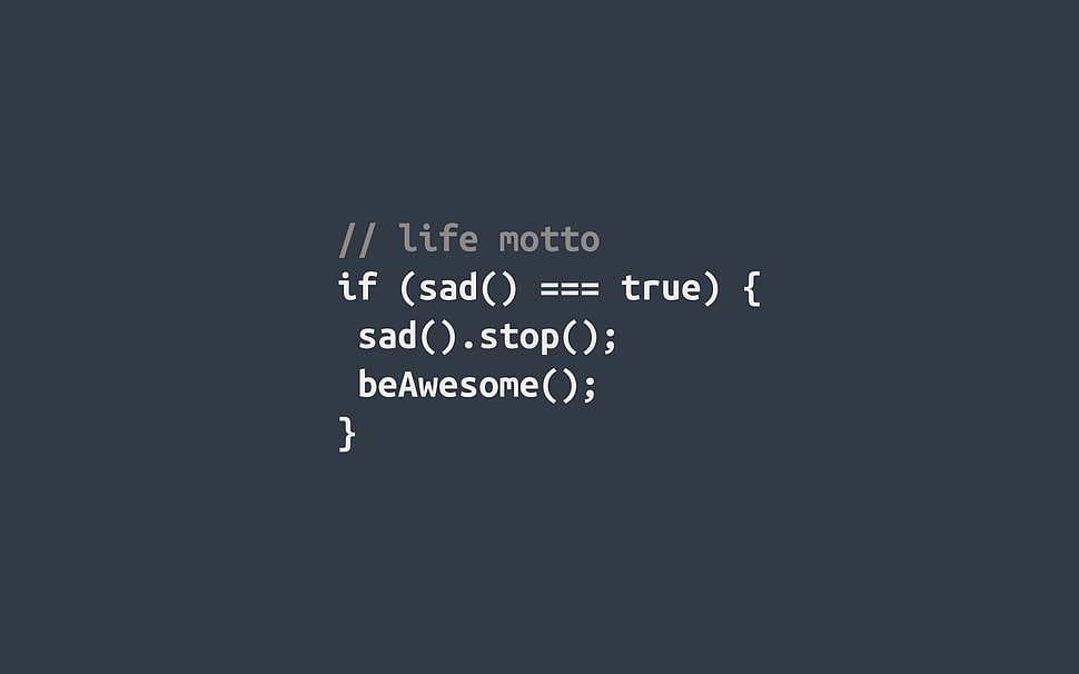 life motto text, typography, gray background, JavaScript, code HD wallpaper
