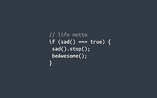life motto text, typography, gray background, JavaScript, code