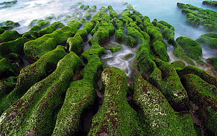 green grass covered mountain ranges digital wallpaper, nature, landscape, water, sea