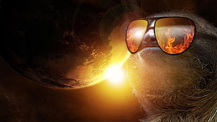 sloth with sunglasses, planet, sloths, sunglasses, stars HD wallpaper