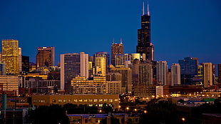 city buildings, cityscape, Chicago