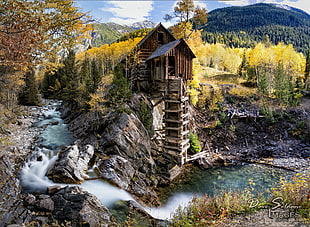 brown wooden house surrounding green leaf trees near river at daytime, crystal mill