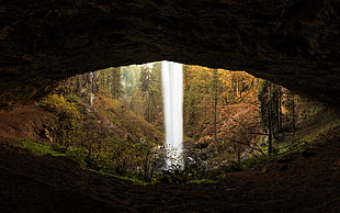 waterfalls with cave, waterfall, forest, cave HD wallpaper
