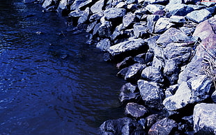 gray rocks, stones, nature, water HD wallpaper