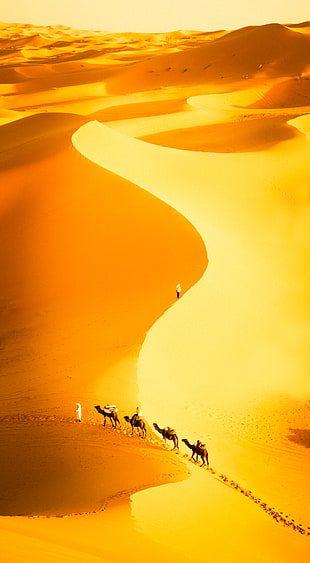 landscape photography of desert during day time, sahara