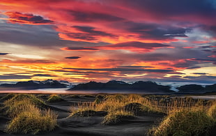 red and yellow abstract painting, nature, sky, clouds, sunlight