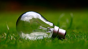selective focus photo of light bulb on green grass at daytime HD wallpaper