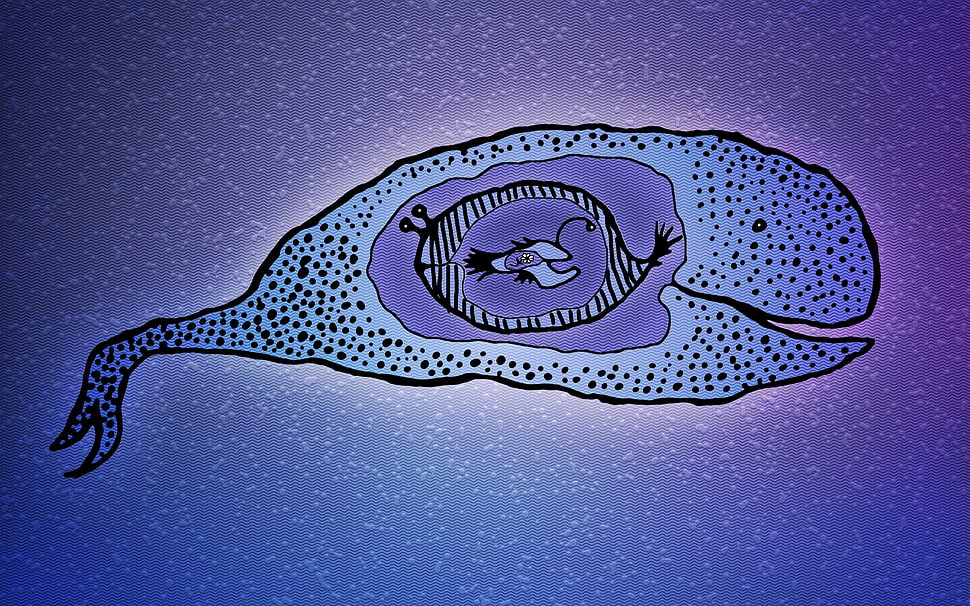 blue whale illustration HD wallpaper