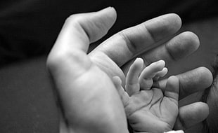 gray scale photography of hands HD wallpaper