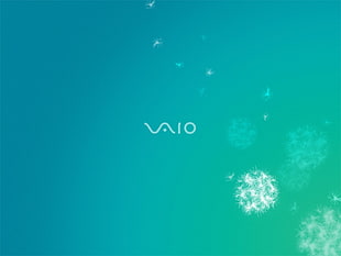 Sony VAIO logo, Sony, VAIO HD wallpaper