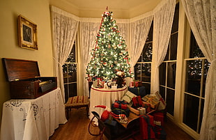 lighted green Christmas tree near window HD wallpaper