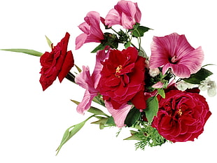 red and pink clustered petaled flowers bouquet