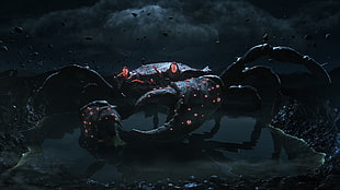Crab illustration, 3D, render, creature, crabs HD wallpaper