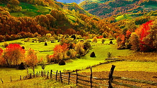 orange and green leaf trees near mountain ranges