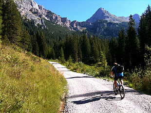 photo of man's riding on bicycle surrounded by trees, scharnitz, achensee, austria HD wallpaper