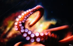 octopus, tentacles, underwater, blurred HD wallpaper