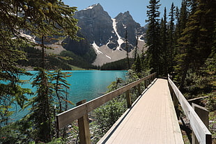 brown wooden bridge beside body of water near brown rocky mountain during daytime, moraine lake, canada