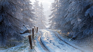 railway covered with snow wallpaper, winter, road, trees, snow