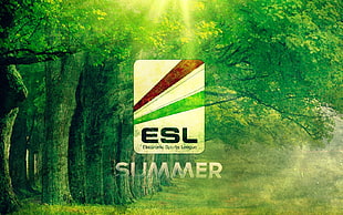 Summer ESL wallpaper, Electronic Sports League, summer HD wallpaper
