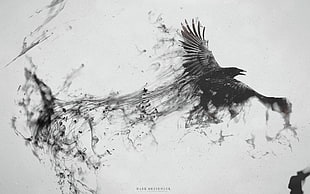 shadow raven digital wallpaper, birds, raven, artwork, animals