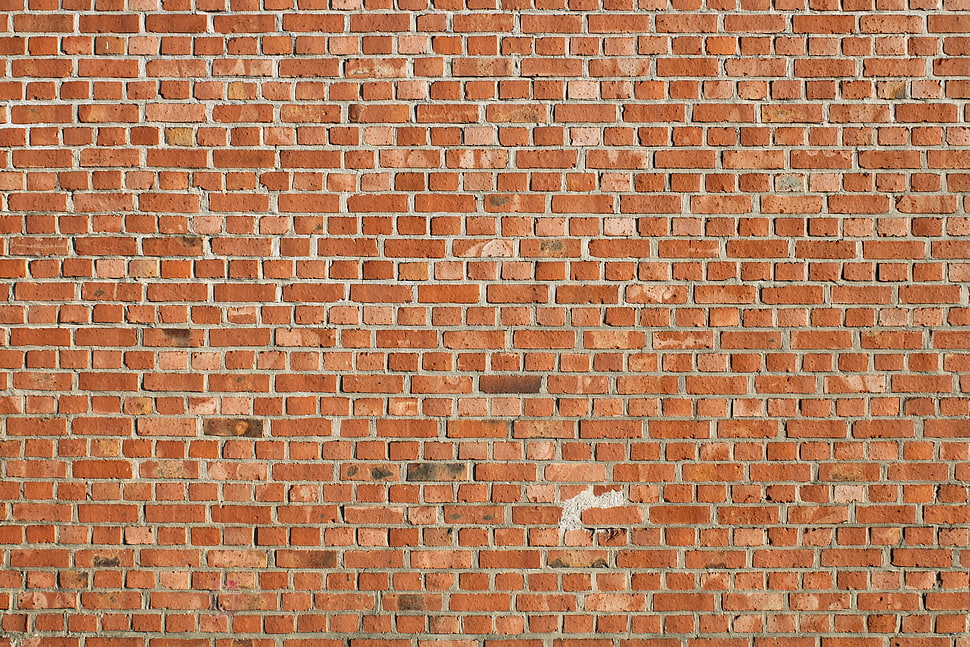 brown concrete brick wall HD wallpaper