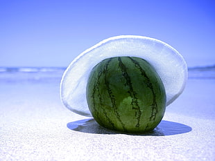 Water Melon photo HD wallpaper