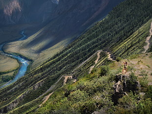 woman standing on cliff