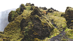 green rock formation, Mountains, Moss, Grass