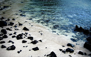 black stone on seashore HD wallpaper