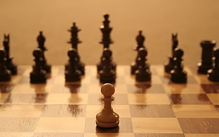 gray and black chess board game set, chess, depth of field, board games HD wallpaper