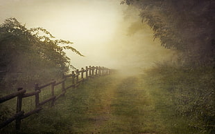 pathway in between trees and fence with foggy background painting