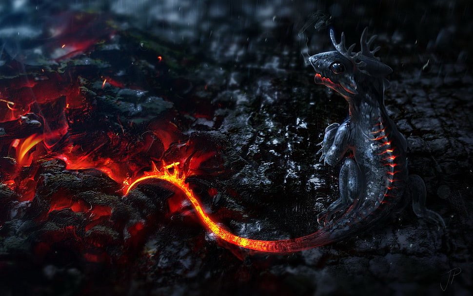 gray lava dragon digital wallpaper, dragon, colorful, render, fire HD wallpaper