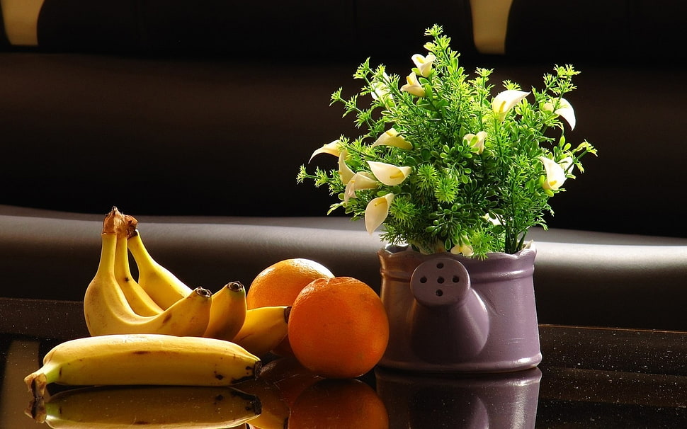 yellow banana, orange fruit and green plant in watering can HD wallpaper