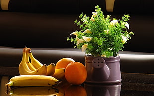 yellow banana, orange fruit and green plant in watering can