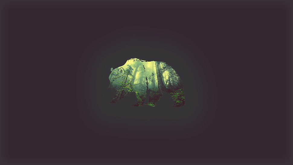 green bear double exposure graphic wallpaper HD wallpaper