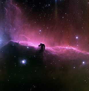 black and white LED light, Horsehead Nebula, nebula, space HD wallpaper
