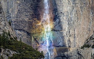 brown mountain, nature, Yosemite National Park HD wallpaper