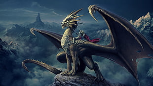 dragon on boulder HD wallpaper