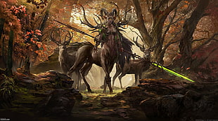 enchantress between bucks wallpaper, fantasy art, Centaur, deer HD wallpaper