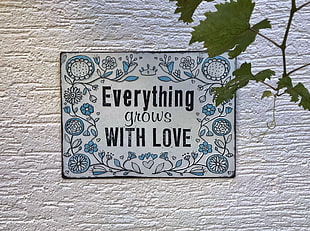 white with everything grows with love quote wall decor HD wallpaper